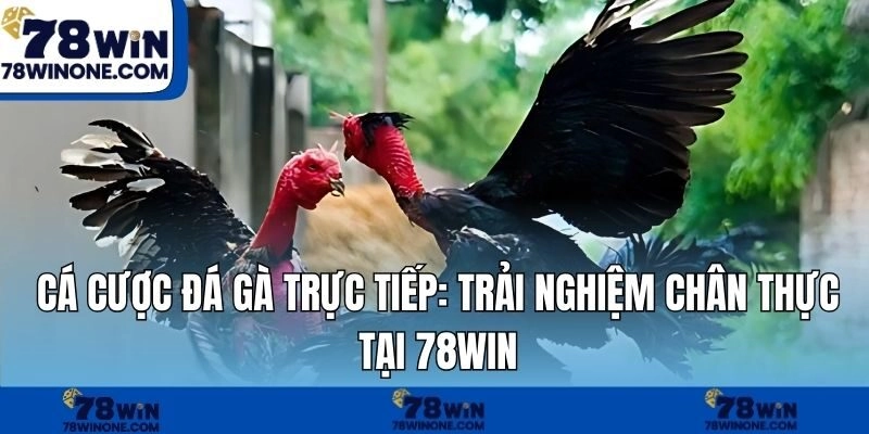 Cá Cược Đá Gà Trực Tiếp: Trải Nghiệm Chân Thực Tại 78WIN