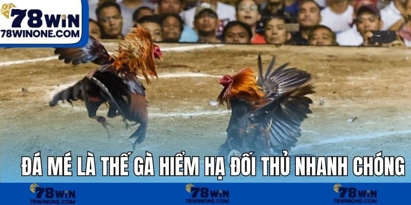 Đá mé là thế gà hiểm hạ đối thủ nhanh chóng