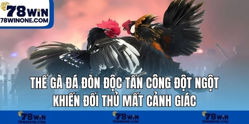 Thế gà đá đòn độc tấn công đột ngột khiến đối thủ mất cảnh giác